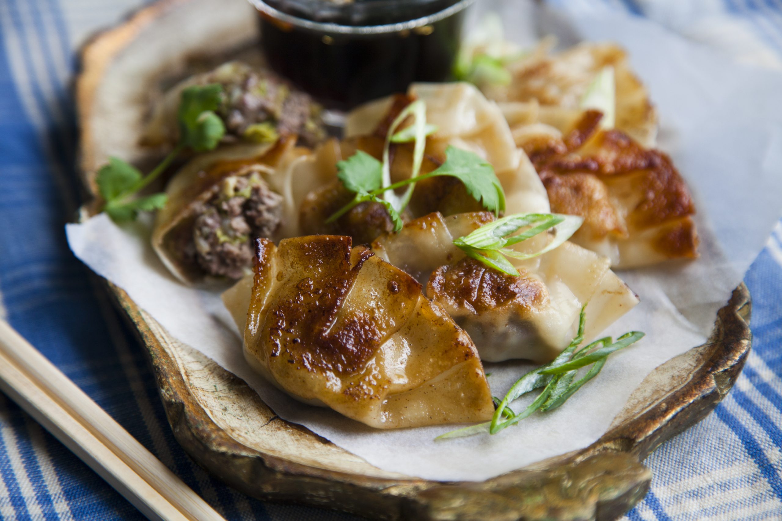 Gebakken Japanse dumplings